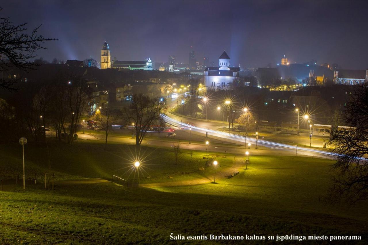 Mini Apartament By Town Hall, Self Chek-In Vilna Exterior foto